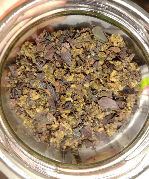 Changa DMT - Image 2