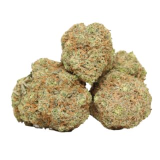 Animal Cookies