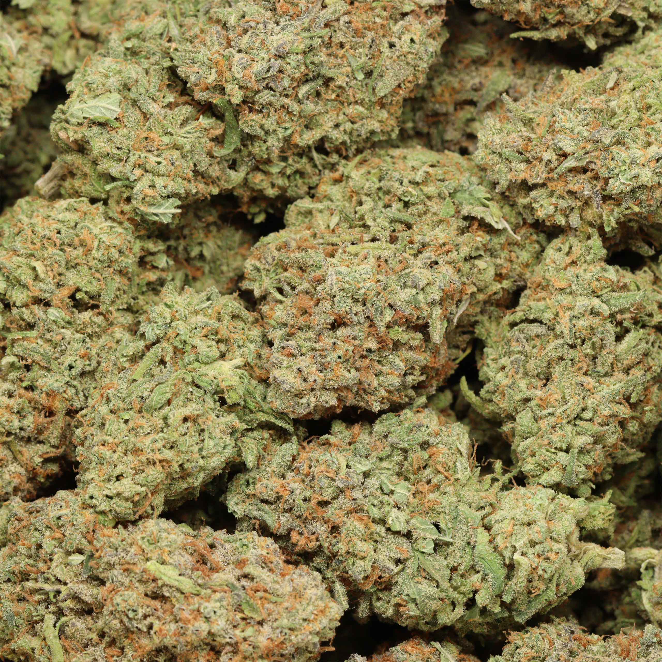 Black Nuken - Image 2