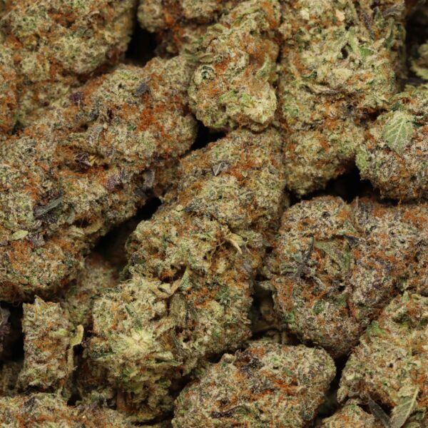 Butterscotch - Image 3