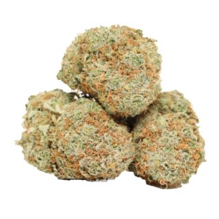 Casey Jones
