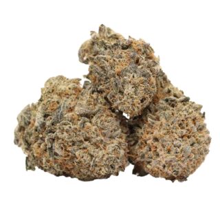 Dark Matter