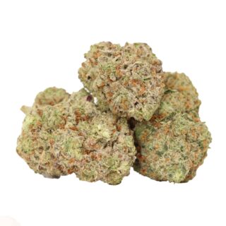 Gelato