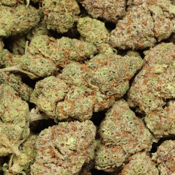 Gelato - Image 2