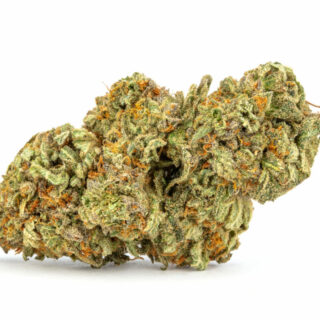 Girl Scout Cookies