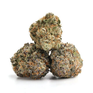 Jack Herer