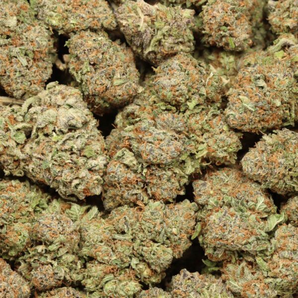 Lemon Skunk - Image 3