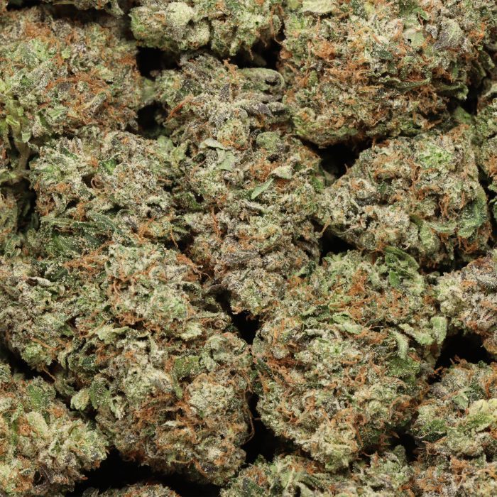 Mike Tyson OG - Image 3