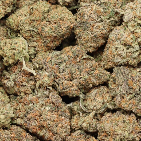 Purple Kush - Image 2