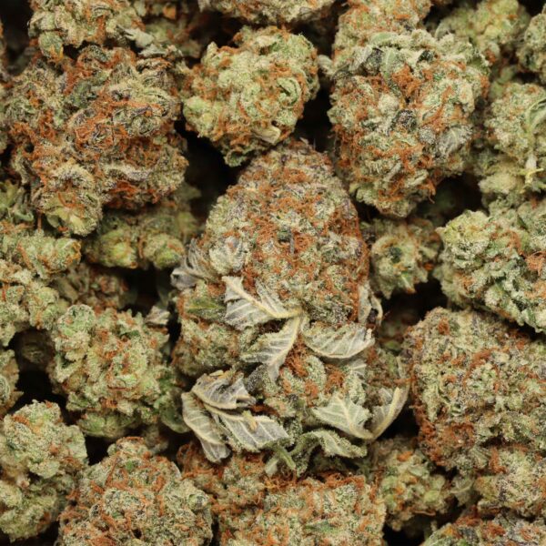 Tuna OG - Image 3