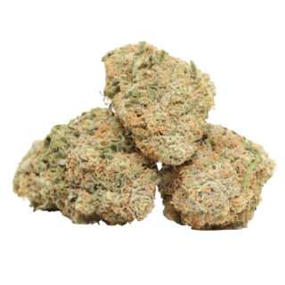 Wedding Gelato