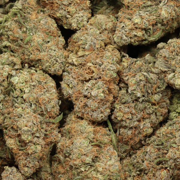 Wedding Gelato - Image 3