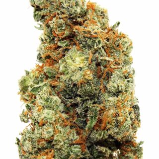 AK-47 Strain